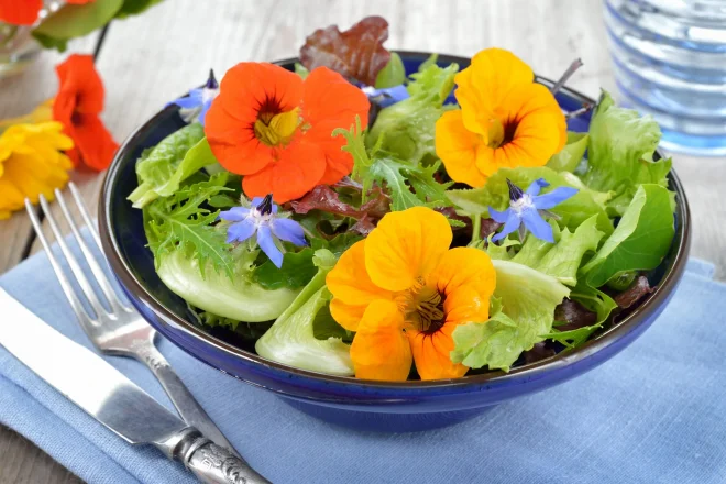 Essbare Blumen: Mehr Farbe, Geschmack und Spaß auf dem Teller